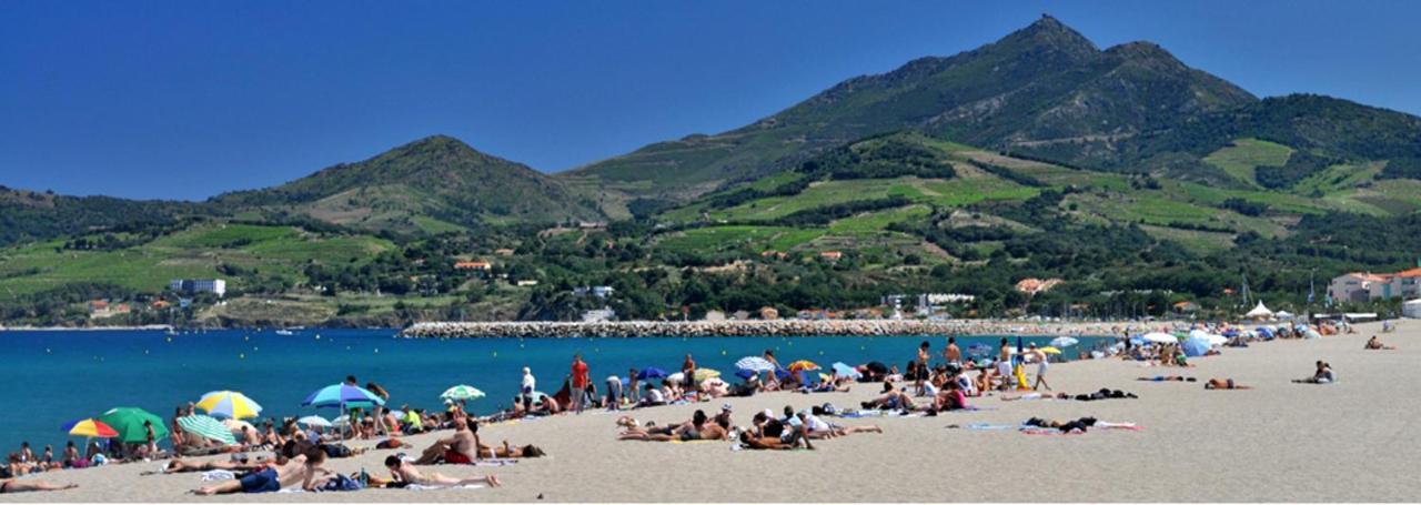 Maison Charmante A Argeles Sur Mer Pres De La Plage Avec Piscine Partagee Экстерьер фото